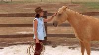 McLeods Daughters